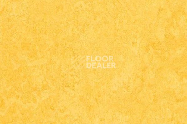 Виниловая плитка ПВХ Marmoleum Click 333251 lemon zest фото 1 | FLOORDEALER
